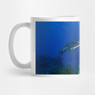 Barracuda on the Great Barrier Reef Mug